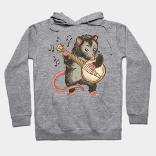 Opossum Playing Banjo Funny Possum Hoodie